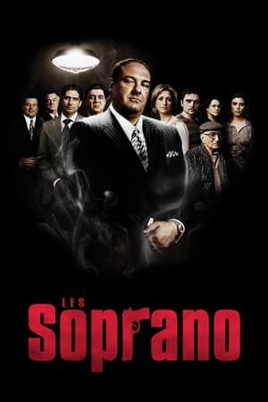 Poster Les Soprano Saison 6 Si j'étais calife 2006