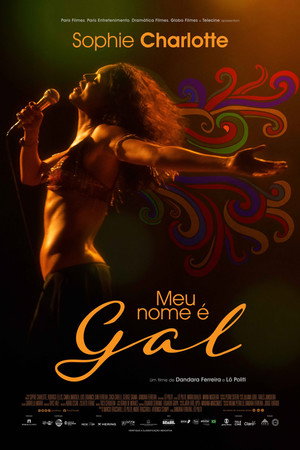 Meu Nome é Gal 14