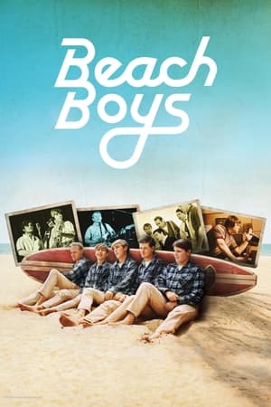 Poster Beach Boys 2024