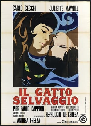 Poster Il gatto selvaggio (1968)