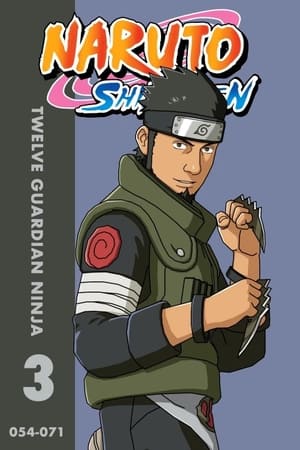 Naruto Shippūden: Twelve Guardian Ninja