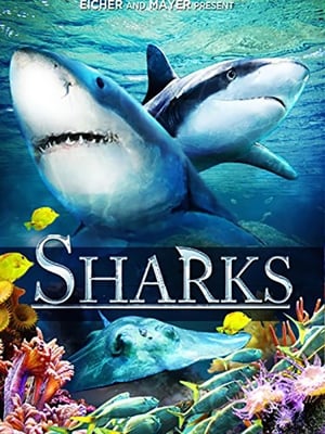 Image Sharks (in 3D)