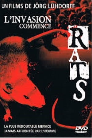 Poster Ratten - sie werden dich kriegen! 2001
