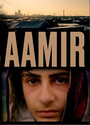 Poster Aamir (2017)