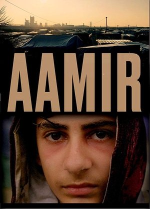 Poster Aamir (2017)