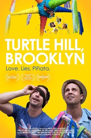 Poster Turtle Hill, Brooklyn (2013)