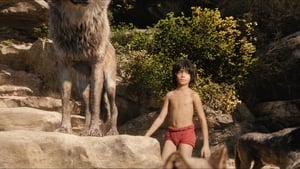 ดูหนัง The Jungle Book (2016) เมาคลีลูกหมาป่า