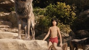 ดูหนัง The Jungle Book (2016) เมาคลีลูกหมาป่า [Full-HD]