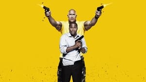 Central Intelligence Dual Audio