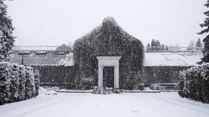 The Winter Garden’s Tale