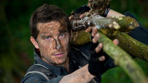 13hiyyi690rfkjg4utg1owlpudq