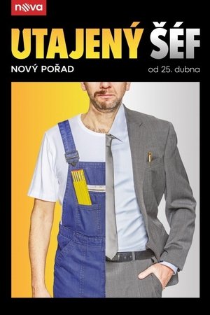 Utajený šéf poster