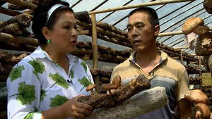 Episode 13 | StreamHub