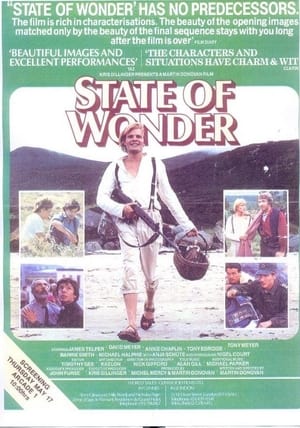 Poster State of Wonder 1984