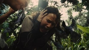 The Hunger Games: Catching Fire (2013)