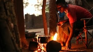 Modern Cooking Fuels