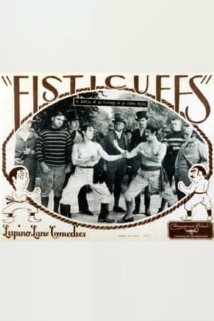 Poster Fisticuffs (1928)