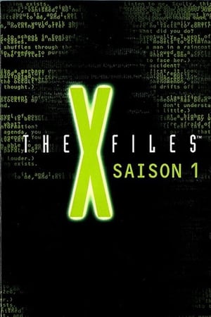 X-Files : Aux frontières du réel - Saison 1 - poster n°4