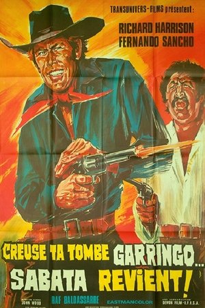 Poster Creuse ta tombe Garringo... Sabata revient 1971