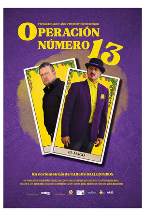 Operación número 13 3