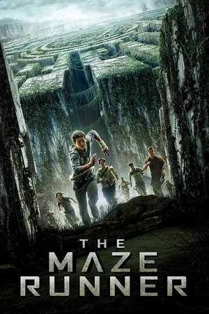 poster The Maze Runner