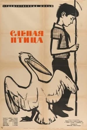Poster Blind Bird (1963)