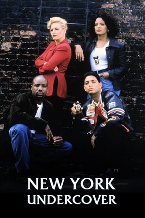 Image New York Undercover