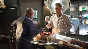 CSI: Crime Scene Investigation: 15×14