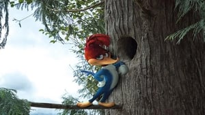 Woody Woodpecker