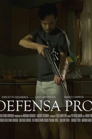 Poster In Self Defense (2015)