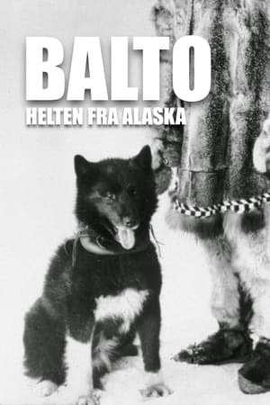 Poster Balto - helten fra Alaska 2011