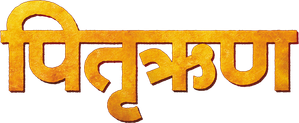 Pitruroon — Logos 1