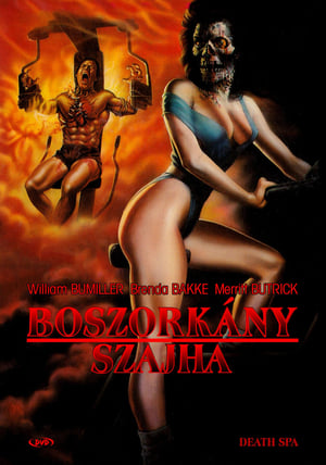 Poster Boszorkány szajha 1988