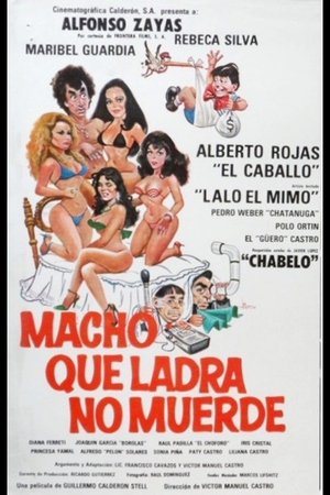 Macho que ladra no muerde poster