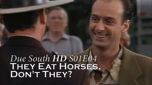 Due South They Eat Horses, Don't They?