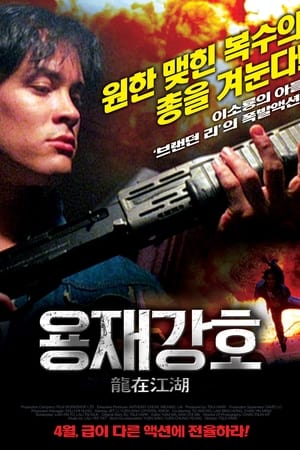 Poster 용재강호 1986