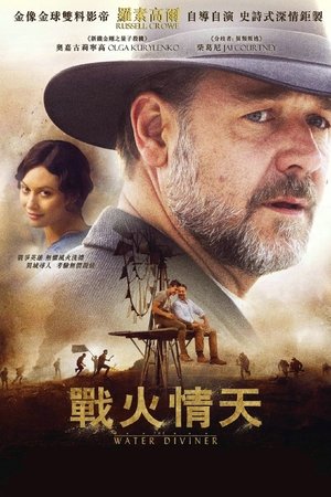 Poster 占水师 2014