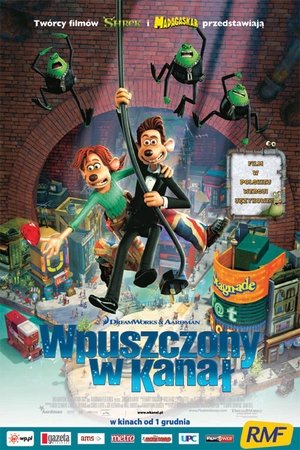 Poster Wpuszczony w kanał 2006