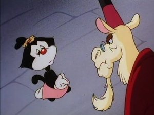 Animaniacs 1X09 Online Latino