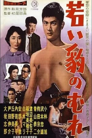 Poster 若い豹のむれ (1959)