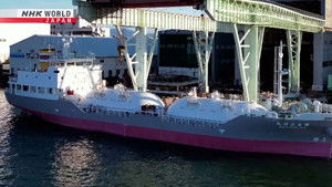 Japan’s Top Inventions: 7×6