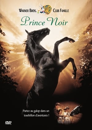 Poster Prince noir 1994