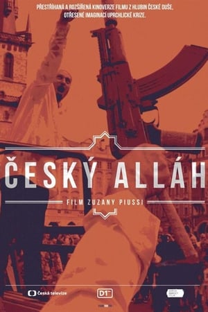 Český Alláh poster