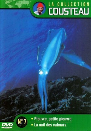 Poster La collection Cousteau N°7 | Pieuvre, petite pieuvre | La nuit des calmars 1972