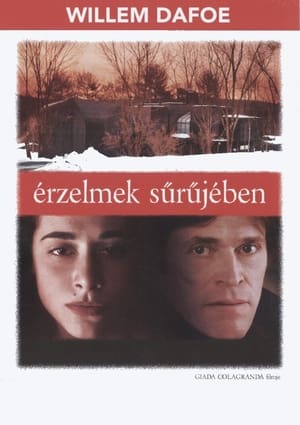 Poster Érzelmek sűrűjében 2005