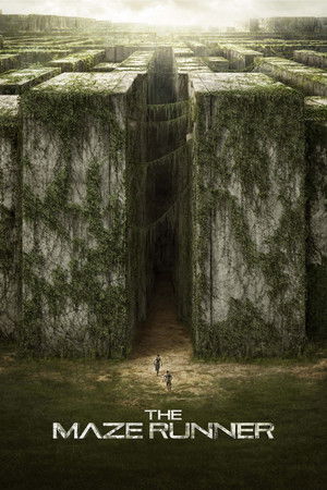 poster The Maze Runner