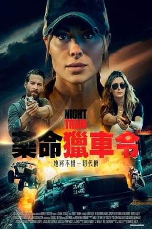 Poster 夜车 2023