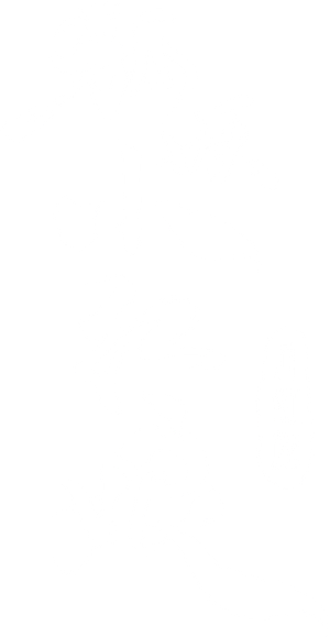 Fox Spirit Matchmaker: Yue Hong — Logos 4