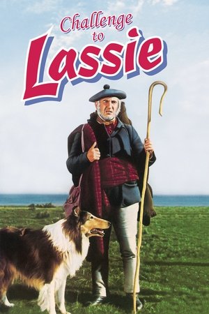 Challenge to Lassie poster