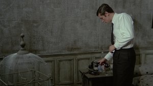 Le Samouraï